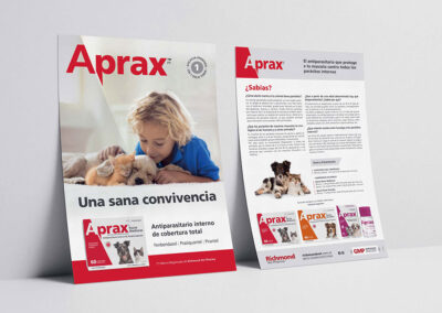 Flyer Aprax